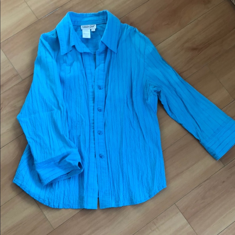 Pretty Blue Button Up